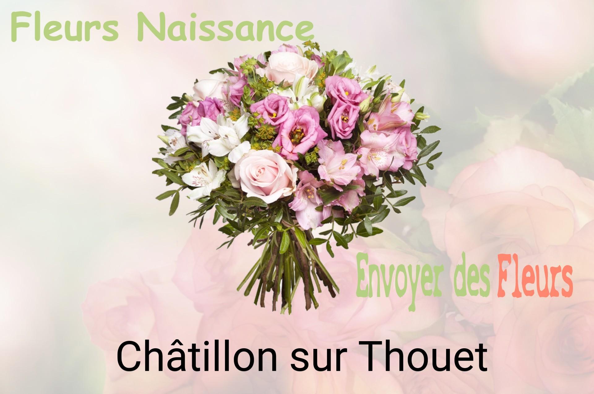 Bouquet de fleurs de naissance livré à Châtillon-sur-Thouet