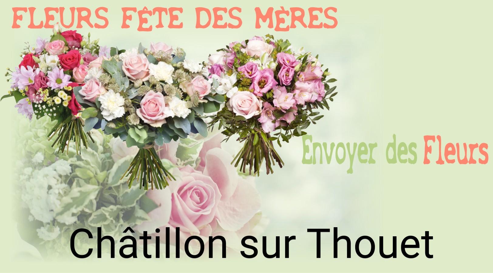 Bouquet de Fête des Mères livré à Châtillon-sur-Thouet